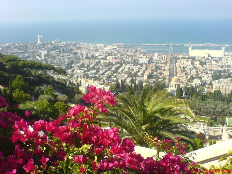 Stella Maris Hosting * Haifa